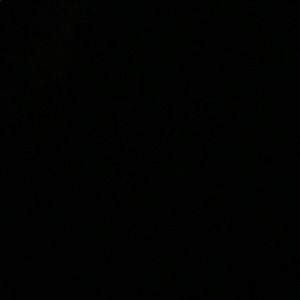 Meet your Posher, Damila